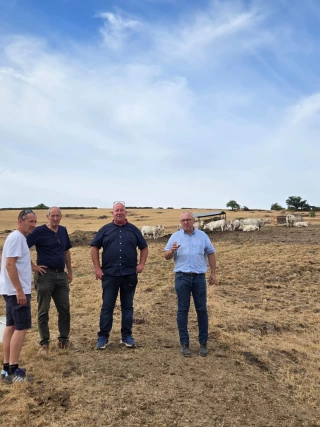 Mieux prendre en compte l'absence de pousse de l'herbe