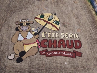 Oh la vache !