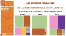 Immobilier à la campagne : Un marché qui progresse dans une région moins attractive