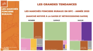 Immobilier à la campagne : Un marché qui progresse dans une région moins attractive