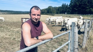 Rendez-vous à Saulieu pour la Fête du charolais