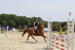 Équitation