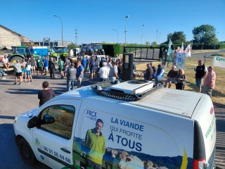 Sur les cours des bovins, un vrai sentiment de trahison