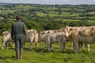 La filière viande reste un pilier de l'économie régionale
