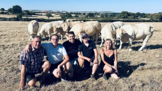 Fête du charolais : ils connaissent le chemin