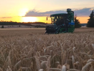 Blé tendre : une récolte marquée par les extrêmes climatiques