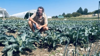Un tour aux Jardins de la Butte 