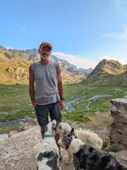 Trois races de chiens pour mieux protéger les troupeaux