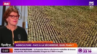 Canicule, sécheresse… l’État prépare son "plan massif"