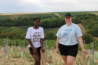 Viticulture