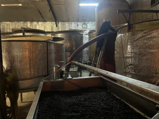 Viticulture