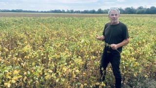 Merci l'irrigation