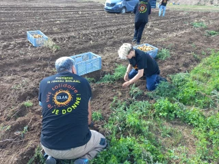 Un mois pour booster les dons agricoles