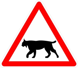 Lynx : une nouvelle signalisation testée dans le Jura