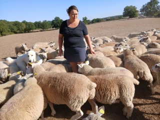 Devenir infirmier de son élevage pour gagner en autonomie