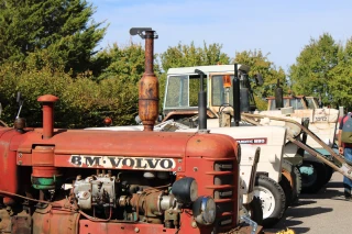 Foire Agricole