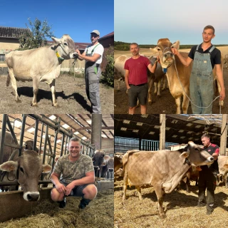quatre vaches Brunes, participantes du Sommet de l'élevage 2026, accompagnées de leurs éleveurs.