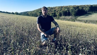 Sarrasin : une récolte qui pourrait tourner court