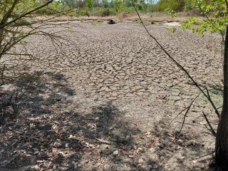 Le plan Casi se décline dans les départements