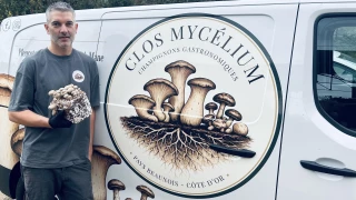 À fond sur le champignon 