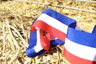 Foire-concours de Moulins-Engilbert le 17 octobre