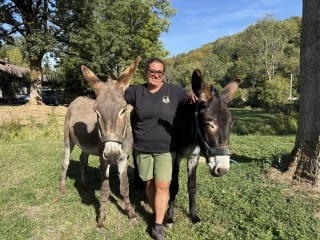 Deux ânes dans leur pré, qui entourent leur propriétaire, Stéphanie. 