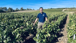 Sur la route du crémant