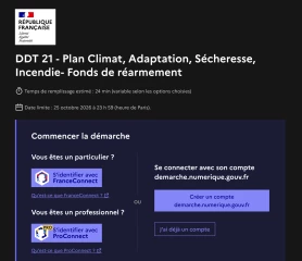 Dépêchez-vous !
