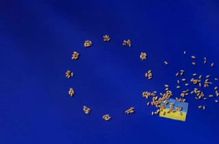 Un véritable raz de marée pour l'agriculture européenne
