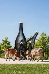 Concours laitiers de Beaune, ça prend forme