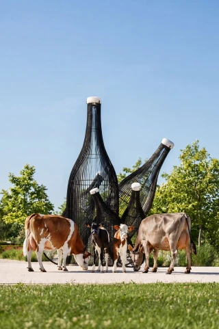 Concours laitiers de Beaune, ça prend forme