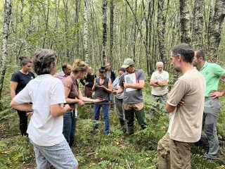 Zoom sur les forêts humides et tourbières boisées