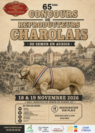 Concours charolais de Semur, une histoire qui dure
