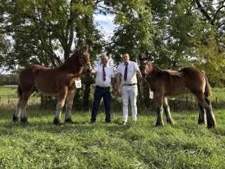 Les lauréats du concours de Semur-en-Auxois