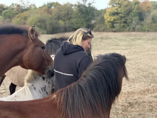 Une jeune femme entourée de ses chevaux dans un pré