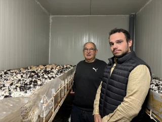 Deux hommes (un père et son fils) dans une salle où pousse des champignons bruns. 