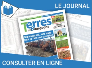 Consultez le journal