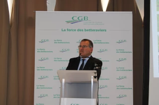 Une mauvaise année pour les planteurs de betterave