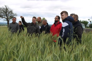 L’assolement, la base de l’agriculture biologique