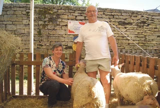 1, 2, 3 … 86 moutons en concours et présentation de races