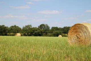 En 50 ans, les températures moyennes ont augmenté de 0,7 à 1,6 °C