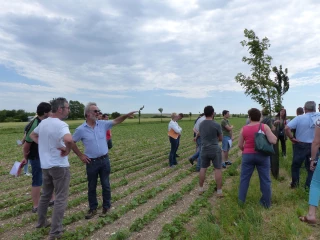 L’agriculture se lie aux arbres