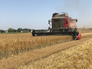 Oh les beaux jours !