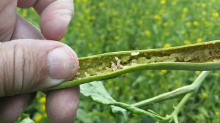 Encore une saison compliquée... Mais la filière tient bon 