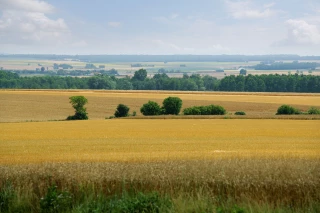 Réaliste, la présidence finlandaise du Conseil de l’UE ne prévoit pas d’accord en 2019