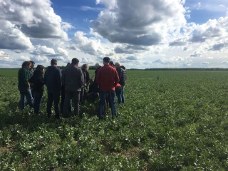 Des agriculteurs nivernais relèvent le «DEPHY»