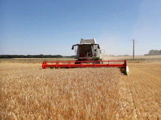 Cette fois c’est parti !