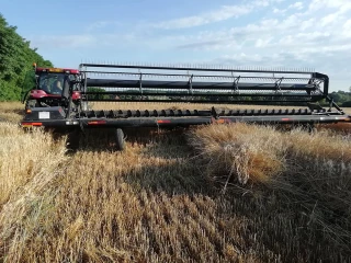 Une moisson en deux temps