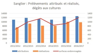 Vers un allongement de la période de chasse ?