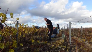 Les formations viticoles du CFPPA